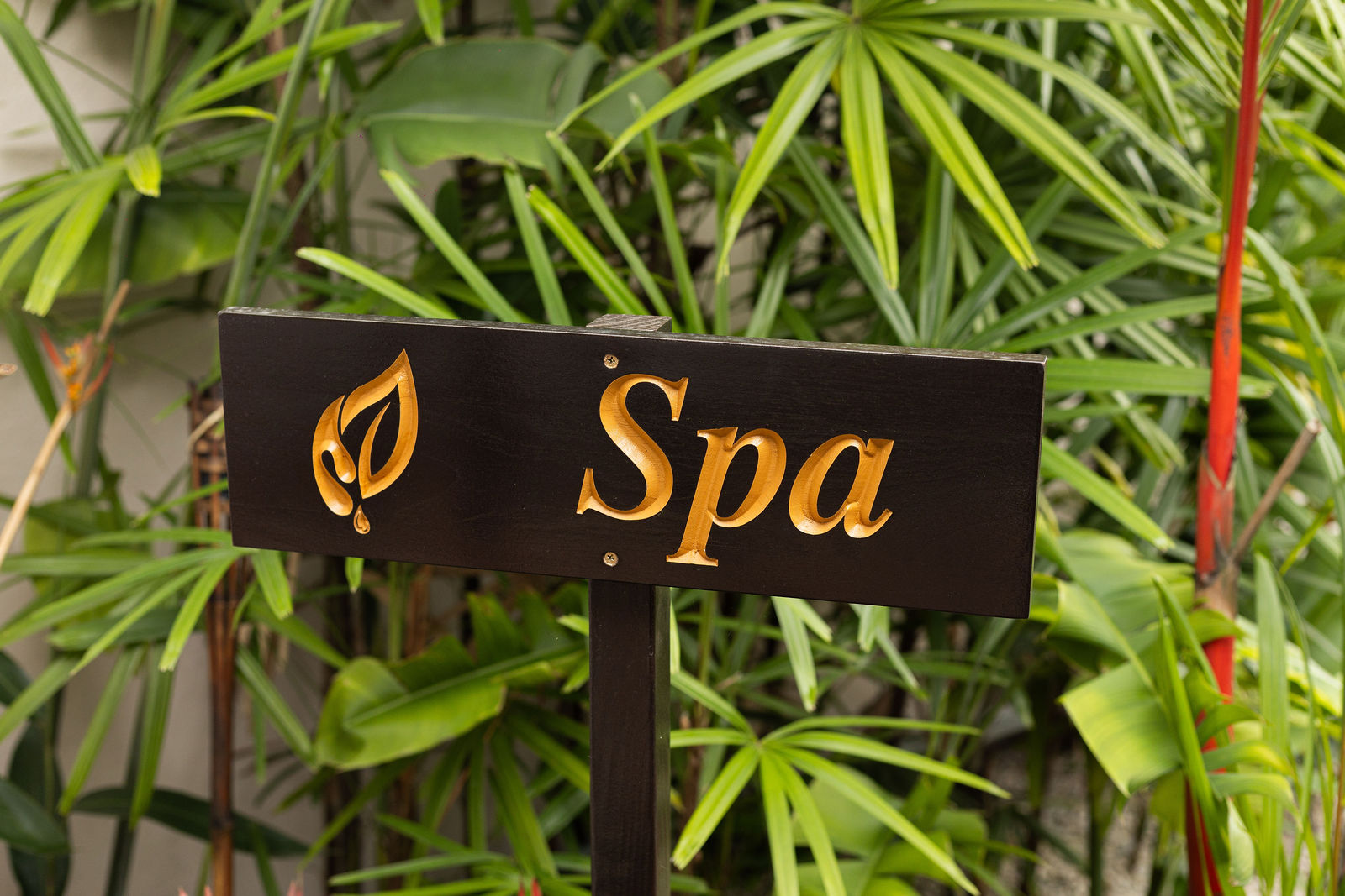 Wooden sign with the word Spa in gold lettering among greenery